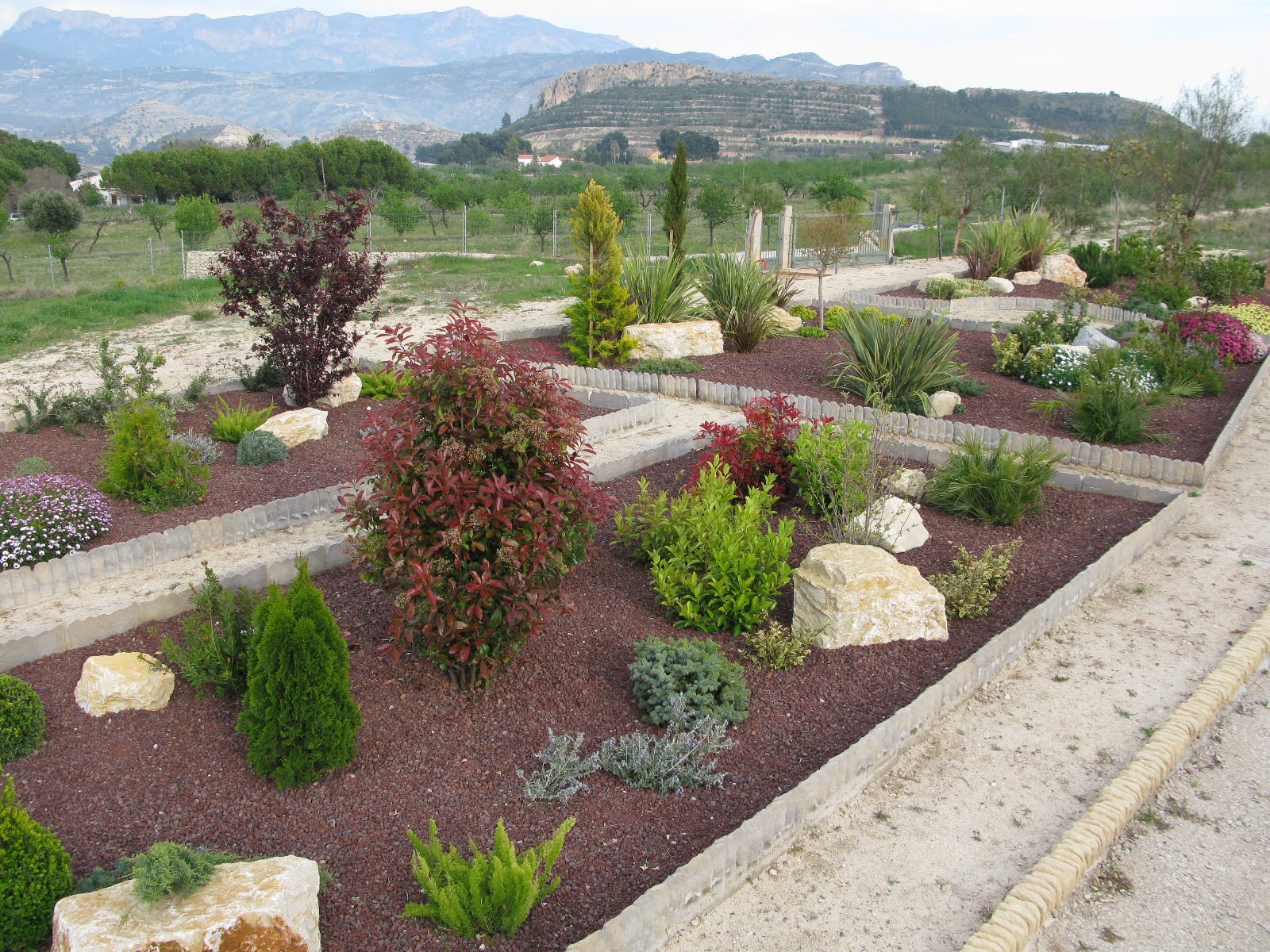 Ideas para diseñar un jardín mediterráneo Diseño Jardin, Jardin - Flor de  Planta